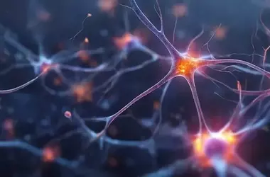 Researchers Uncover Diverse Cognitive Decline Patterns in Early Alzheimer's Disease