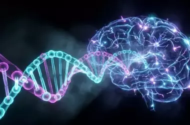 Unraveling Autism's Genetic Puzzle: The Role of Non-Coding DNA