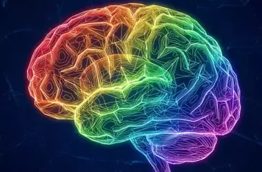 Cognitive Flexibility: Intelligence and Openness Shape Habit Adoption