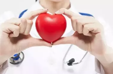 Optimizing Your Diet for Cardiovascular Health