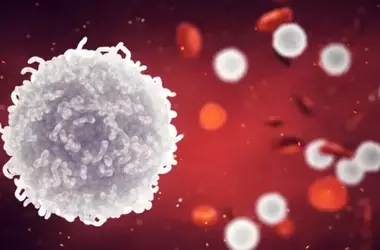 Beyond the Brain: How White Blood Cells Shed Light on Depression's Biological Roots