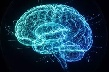 Neuroscientists Uncover How the Brain Organizes Autobiographical Memories Across Time