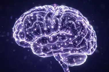 Brain Chemistry's Role in Error Sensitivity and Mental Health