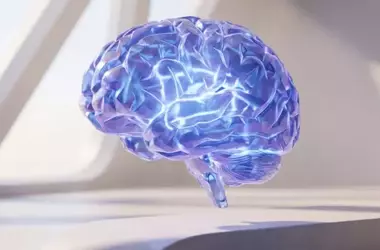 Brain Scans Uncover Two Distinct Biological Subtypes of Autism