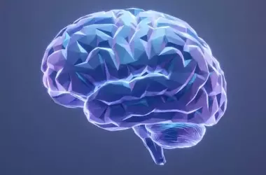 The Brain's Unconscious Filter: How Distraction Impacts the Perception of Negative Words