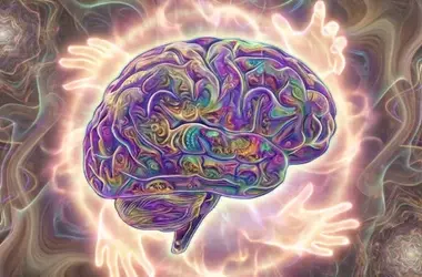 Psilocybin's Impact on Advanced Alzheimer's Disease: A Case Study