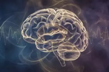 Brainwave Patterns Precede Deception: Unveiling the Neural Signatures of Impending Lies