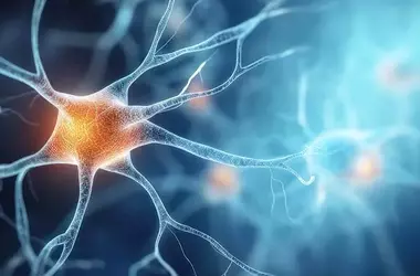 Deep Brain Stimulation Physically Remodels Brain's Information Superhighway