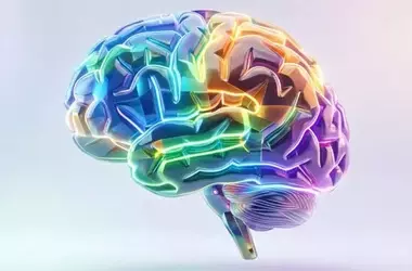 Brain Scans Uncover Links Between Uneven Intelligence and Attention Deficits in Children