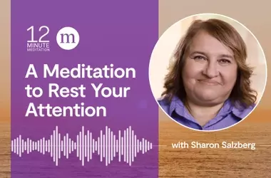 A Meditation to Gently Place Your Awareness