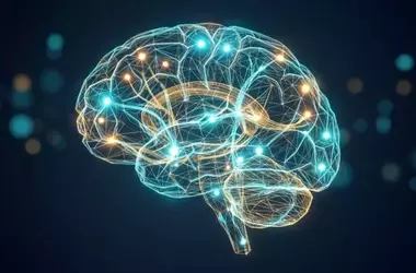 Bilingual Brains Share a Unified Neural Map for Meaning Across Languages