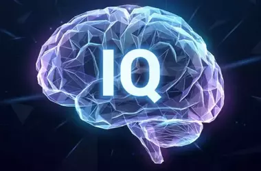 The Dynamic Nature of Intelligence: How Age and Ability Shape Cognitive Structure