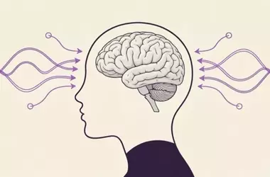 The Silent Battle: Two Years of Recovery After TMS-Induced Brain Injury