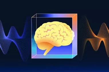 The Symbiotic Relationship Between Human and Artificial Intelligence
