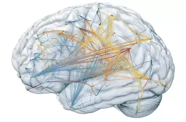New Research Reveals Core Brain Circuits Behind OCD Symptoms