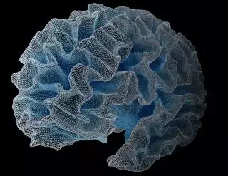 Sleep, Genetics, and Alzheimer's Risk in Older Women