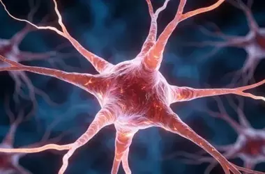 Antidepressants May Normalize Brain Tissue Changes in Persistent Depression