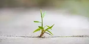 Cultivating Inner Strength: Strategies for Enhanced Resilience in Daily Life