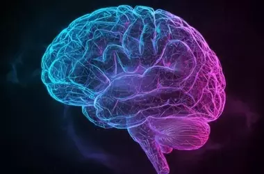 Short Video Consumption Temporarily Suppresses Cognitive Control Networks, Study Reveals