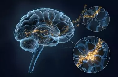 Schizophrenia Risk Gene Linked to Hyper-Excitable Neurons