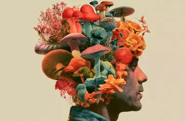 Psychedelic Therapy Shows High Efficacy in PTSD Remission for Veterans
