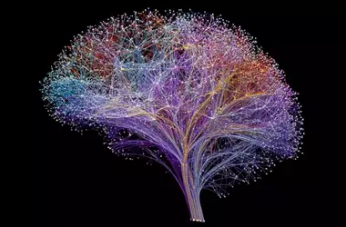 Mapping 54,583 Brain Connectomes for Disease Detection