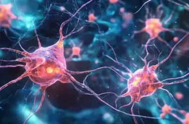 Semaglutide's Impact on Brain Inflammation and Neurodegenerative Disease