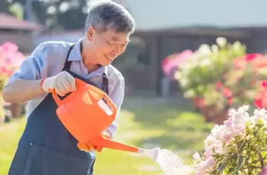 Gardening's Calming Effect: Lower Blood Pressure and Anxiety in Older Adults
