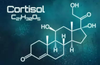 Cortisol Fluctuations as a Predictor of Cognitive Health in Aging Adults